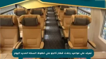 تعرف على مواعيد رحلات قطار تالجو على خطوط السكة الحديد اليوم